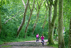 Cycling in Fort de Meudon.  Courtesy Ville de Meudon.