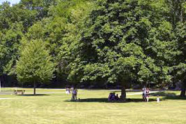 Lawns and forests, Meudon.  Courtesy of the Ville de Meudon.