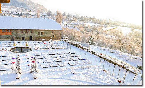 Garden in winter. Photo copyright Stphane Vandeville 2012.  All rights reserved.