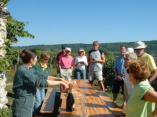 The cruise group has a wine tasting in the fields!  Copyright The Barge Lady.  All rights reserved.