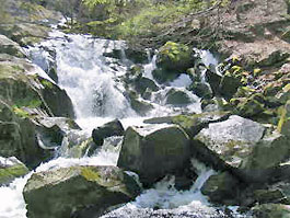 Cascade de la Pisserotte