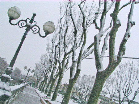 Narbonne in the Snow.  Photo copyright 2010 by Marlane O'Neill.  All rights reserved.