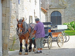 Mortemart Carriage Ride.  Copyright Cold Spring Press.  All rights reserved.