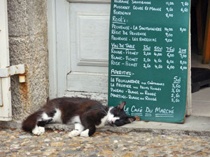 Mortemart Café Cat.  Cold Spring Press.  All rights reserved.