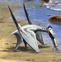 Pterosaur Beach Crayssac.  Photo courtesy of Grand Cahors Tourism Office