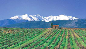 Pic Canigou.  Wikipedia