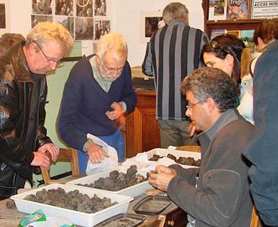 Truffle Trading, Rhone-Alpes.  Copyright Jeni Matthews 2009.  All rights reserved.