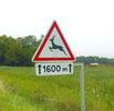 Caution: Deer Crossing next 1600 meters