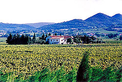 The vineyards of Vacqueyras 1997-2006 Cold Spring Press
